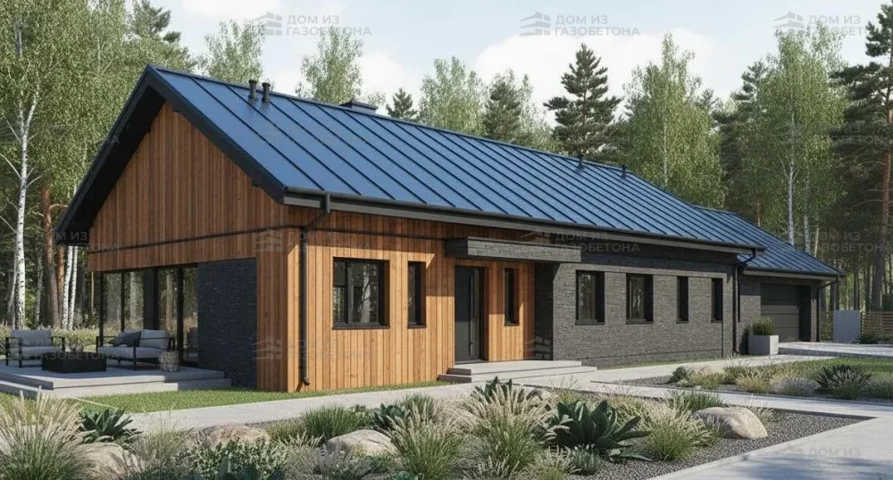 Проект Одноэтажный дом 29 на 10, 226 м2